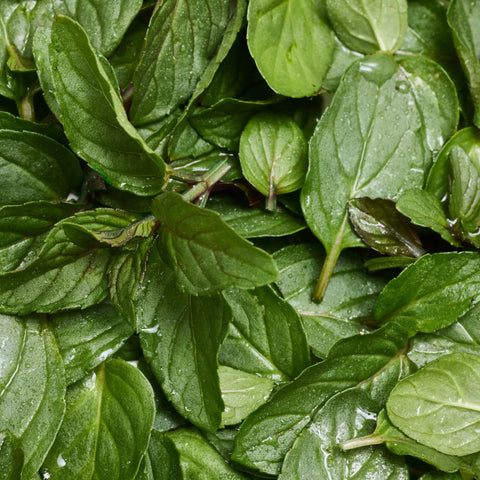 Peppermint - Pure-Castile Magic Bar Soap